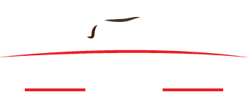 best leather sewing machines zone logo
